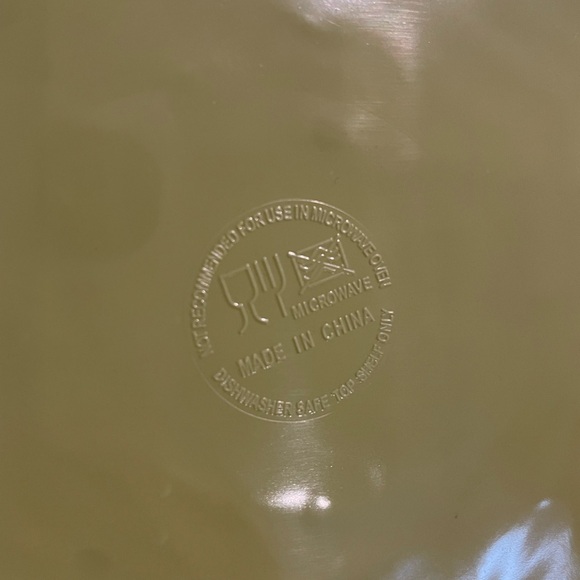 Set of 6 Pottery Barn Green Rope Border Melamine Dinner Plate 11" Summer Spring - Picture 2 of 4